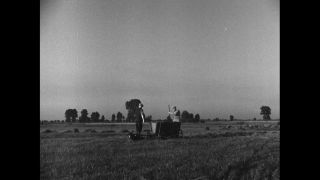 Link to Video | Germany