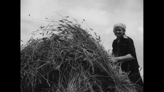 Link to Video | Germany