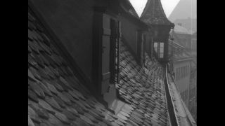 Link to Video | personality