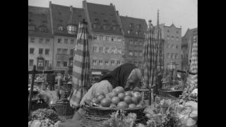 Link to Video | personality