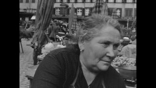 Link to Video | personality