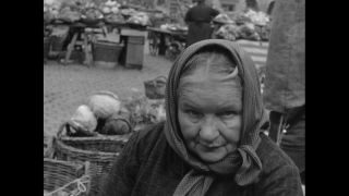 Link to Video | personality