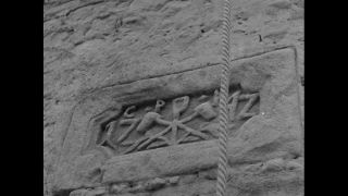 Link to Video | personality