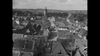 Link to Video | personality