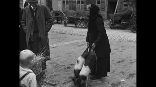 Link to Video | Germany