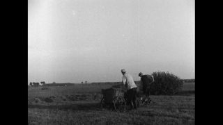 Link to Video | Germany