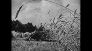 Link to Video | Germany