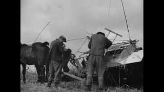 Link to Video | Germany