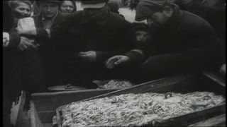 Link to Video | Warsaw Ghetto, antisemitism, Warsaw, Jew, World War II, Third Reich, Jewish Ghetto Police, Nazism