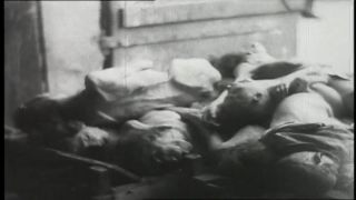 Link to Video | Warsaw Ghetto, antisemitism, Warsaw, Jew, World War II, Third Reich, Jewish Ghetto Police, Nazism