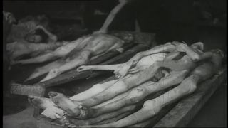 Link to Video | Warsaw Ghetto, antisemitism, Warsaw, Jew, World War II, Third Reich, Jewish Ghetto Police, Nazism