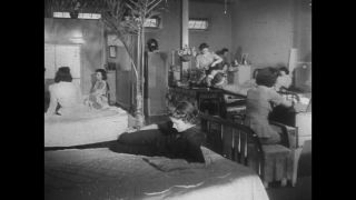 Link to Video | United States of America, arms industry, armament