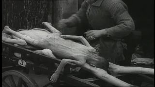 Link to Video | Warsaw Ghetto, antisemitism, Warsaw, Jew, World War II, Third Reich, Jewish Ghetto Police, Nazism