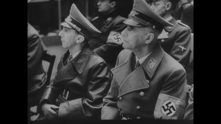 Link to Video | personality