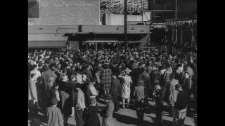 Link to Video | United States of America, arms industry, Los Angeles, armament, California