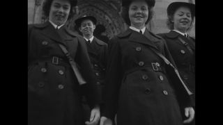 Link to Video | United States of America, Hollywood, Los Angeles, California