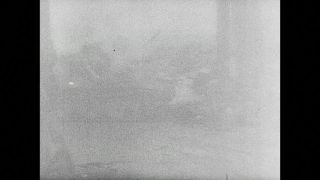 Link to Video