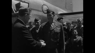 Link to Video | personality