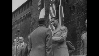 Link to Video | personality