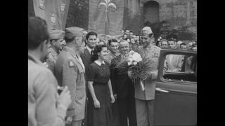 Link to Video | personality