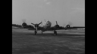 Link to Video | personality