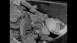 Link to Video | personality