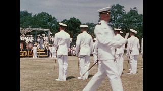 Link to Video