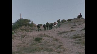 Link to Video