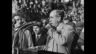 Link to Video | personality