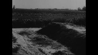 Link to Video | antisemitism, Third Reich