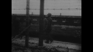 Link to Video | antisemitism, Third Reich