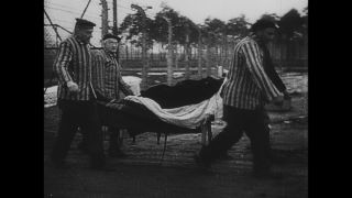 Link to Video | Auschwitz