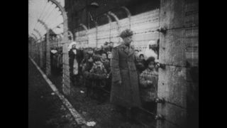 Link to Video | antisemitism, Third Reich, Auschwitz
