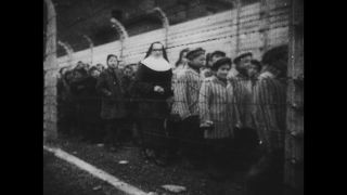 Link to Video | Auschwitz