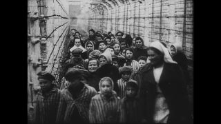 Link to Video | Auschwitz