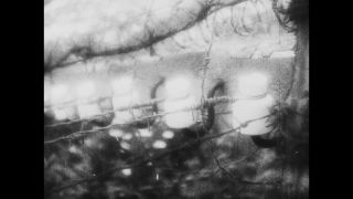 Link to Video | antisemitism, Third Reich