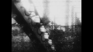 Link to Video | antisemitism, Third Reich