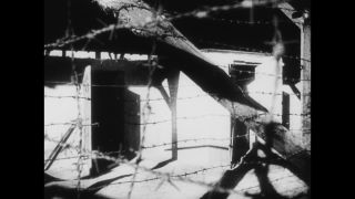 Link to Video | antisemitism, Third Reich