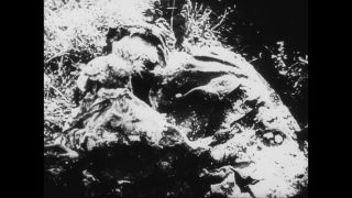 Link to Video | antisemitism, Third Reich