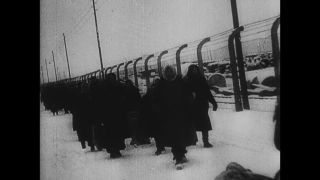 Link to Video | antisemitism, Third Reich, Auschwitz