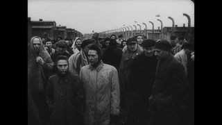 Link to Video | Auschwitz