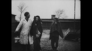 Link to Video | Auschwitz