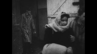 Link to Video | antisemitism, Third Reich, Auschwitz