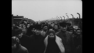 Link to Video | antisemitism, Third Reich, Auschwitz