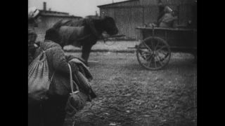 Link to Video | antisemitism, Third Reich, Auschwitz