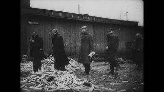 Link to Video | Auschwitz