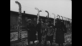 Link to Video | Auschwitz