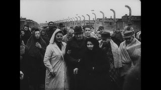 Link to Video | Auschwitz