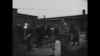 Link to Video | antisemitism, Third Reich, Auschwitz