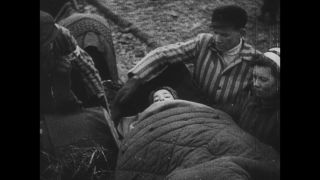 Link to Video | antisemitism, Third Reich, Auschwitz